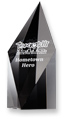 Tamagotchi Hero Award